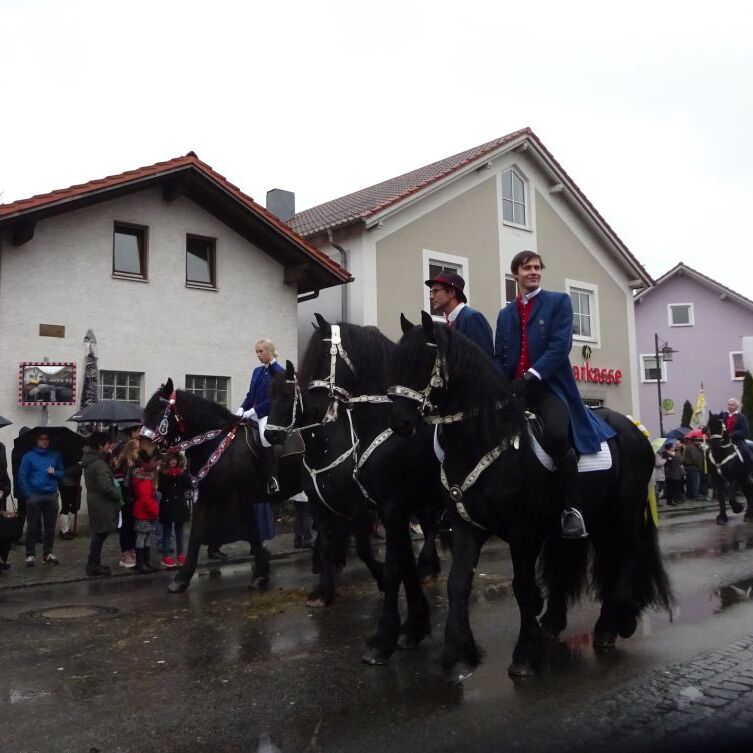 DSC08886.JPG