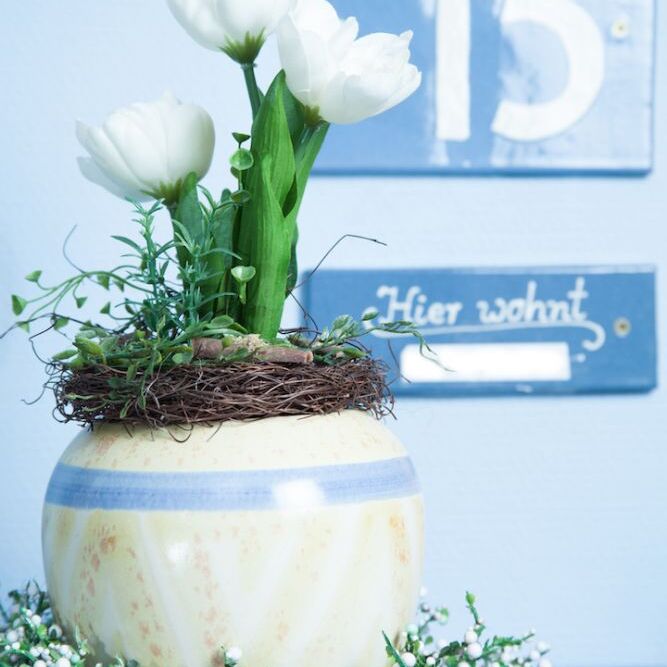 Grassl_Stoiber_Fotoshooting-67_edited.jpg
