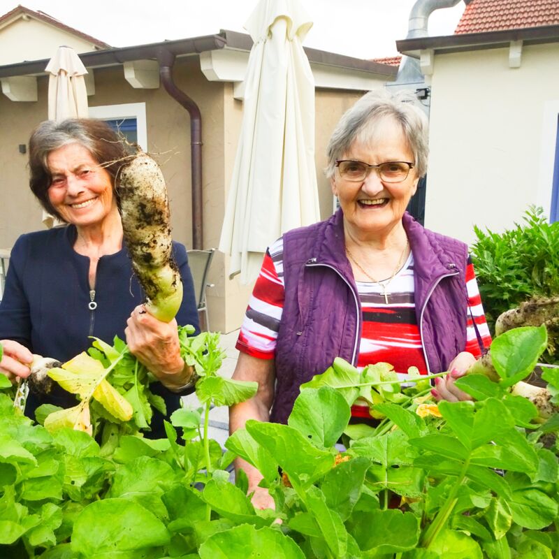 Gartenarbeit_3_N_edited.jpg