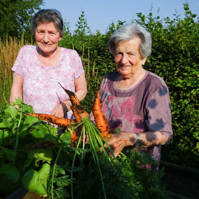 Gartenarbeit_(3)_N_edited.jpg