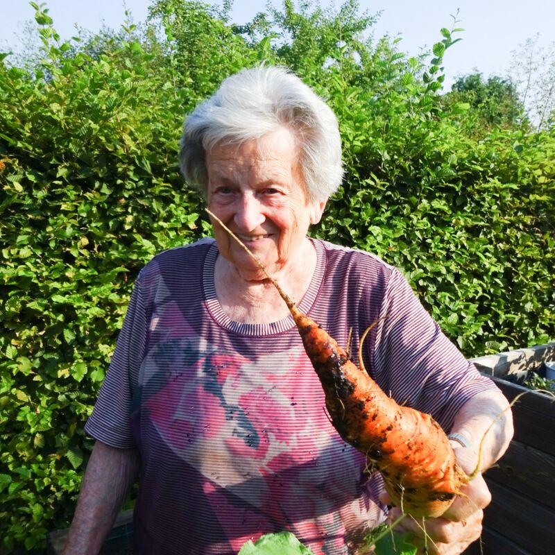 Gartenarbeit_9__N_edited.jpg